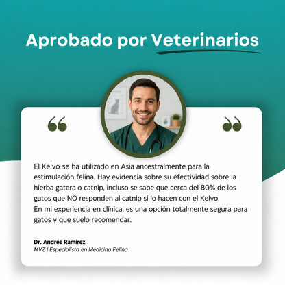 KELVO™ Pack de Sticks Dentales para Gatos