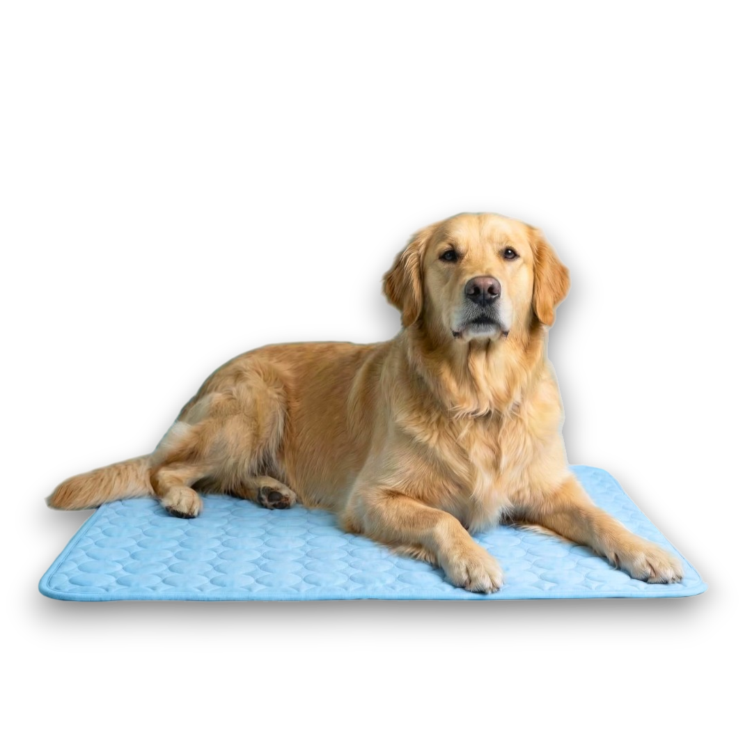 ZENPAWS™ Tapete Refrescante