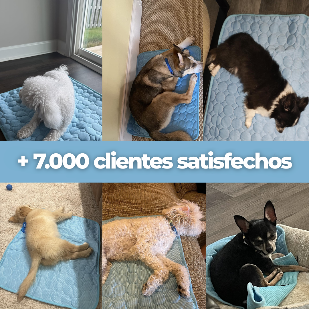 ZENPAWS™ Tapete Refrescante
