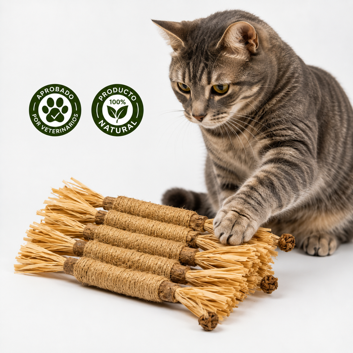 KELVO™ Pack de Sticks Dentales para Gatos