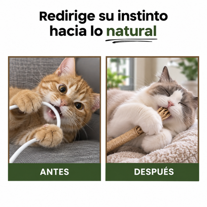 KELVO™ Pack de Sticks Dentales para Gatos